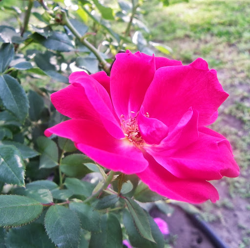 Jill Pearson Photo 19