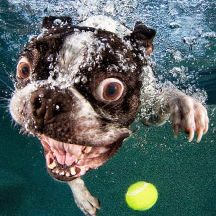 Nicholas Randolph Photo 3