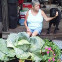 Ramona Wallace Photo 24