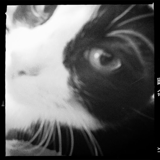 Alison Watson Photo 37