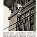 Johnny Willis Photo 9