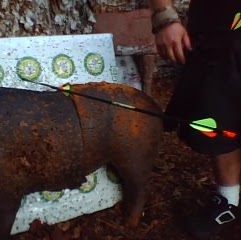 James Singleton Photo 6