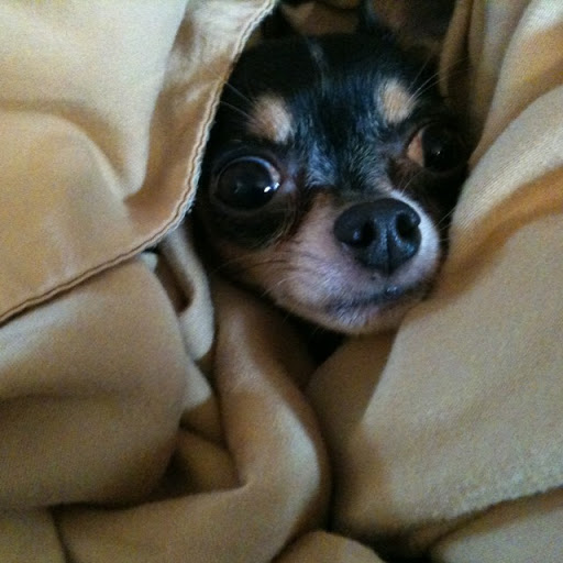 Jill Greiner Photo 5