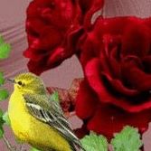 Sheila Peters Photo 2