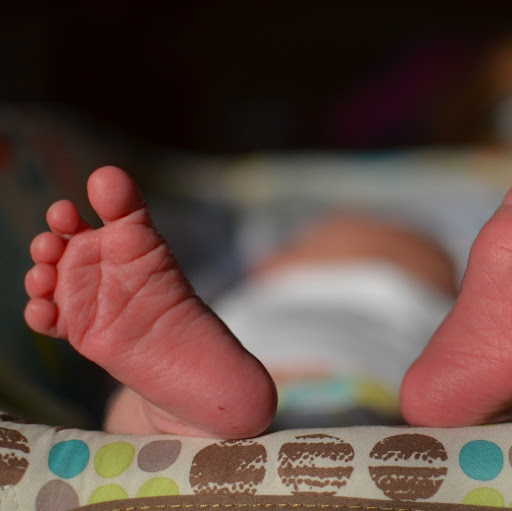 Theodore Stewart Photo 21 Theodore Stewart Photo 21