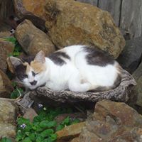 Paul Mcleod Photo 16 Paul Mcleod Photo 16