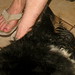 Sharon Lay Photo 35