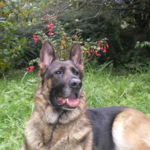 Amber Stokes Photo 39