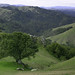 George Marin Photo 36