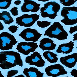 Katelyn Kirby Photo 1