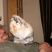 Steve Rowland Photo 43