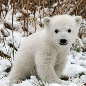 Christine Mercier Photo 8