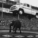 John Swenson Photo 19
