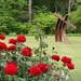 Sue Dean Photo 34