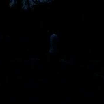 Kevin Cowan Photo 35