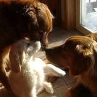 Tom Cartwright Photo 19