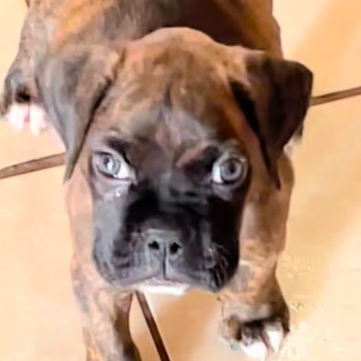 Julie Schuler Photo 1