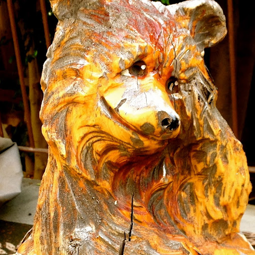 Michael Chong Photo 48