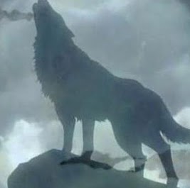 Matthew Oliver Photo 32