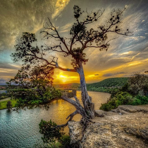 Amy Lacey Photo 35