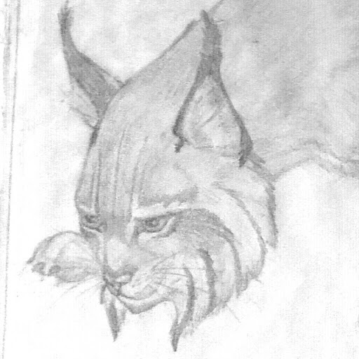 Debbie Snider Photo 9