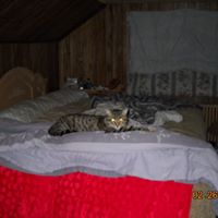 Tommy Stump Photo 13