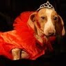 Julie Wilder Photo 11