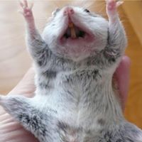 Rachel Merrill Photo 20