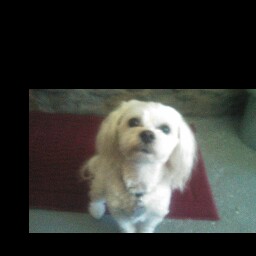 Katherine Hewitt Photo 19