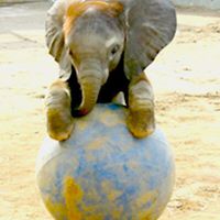 June Harding Photo 26