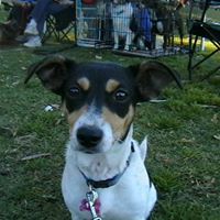 Teresa Good Photo 37