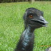 Phillip Latham Photo 2