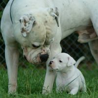 Jennifer Blevins Photo 13