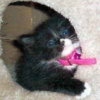 Penny Mccann Photo 3