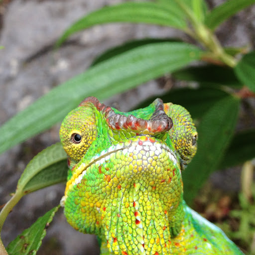 Vivien Brown Photo 12