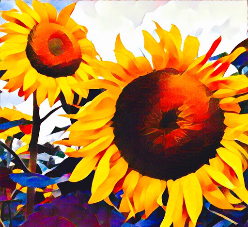 Barbara Rossi Photo 2