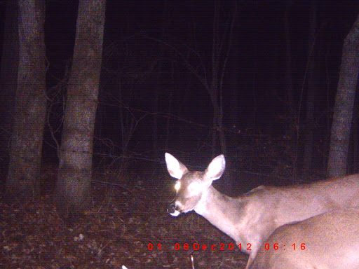 Richard Weed Photo 35