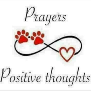 Cheryl Penn Photo 14