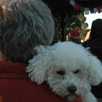 Christine Beveridge Photo 3