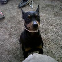 Suzanne Pugh Photo 21