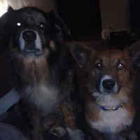 Connie Dietrich Photo 10