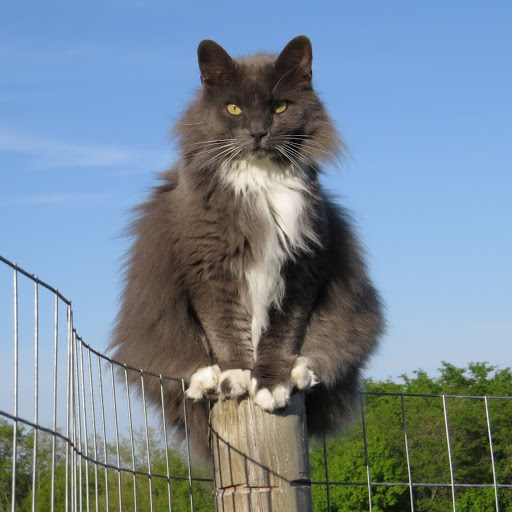 Marilyn Richards Photo 7