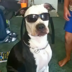 Michelle Rubio Photo 9