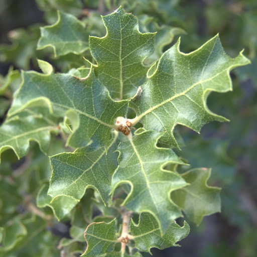 Beth Fallon Photo 21