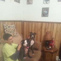 Stephen Foote Photo 7