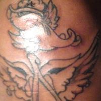 Terry Alexander Photo 20 Terry Alexander Photo 20