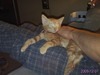 Kimberly Curtis Photo 38