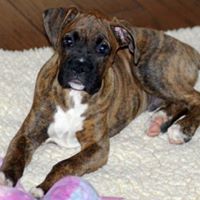 Gloria Copeland Photo 28