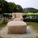 Yue Zhang Photo 31