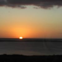 Janice Lind Photo 16